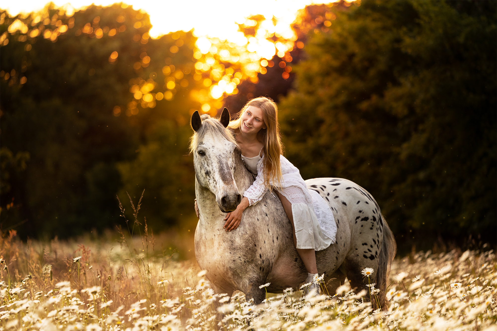 webseite_Stine_Django_wiese-17-Edit